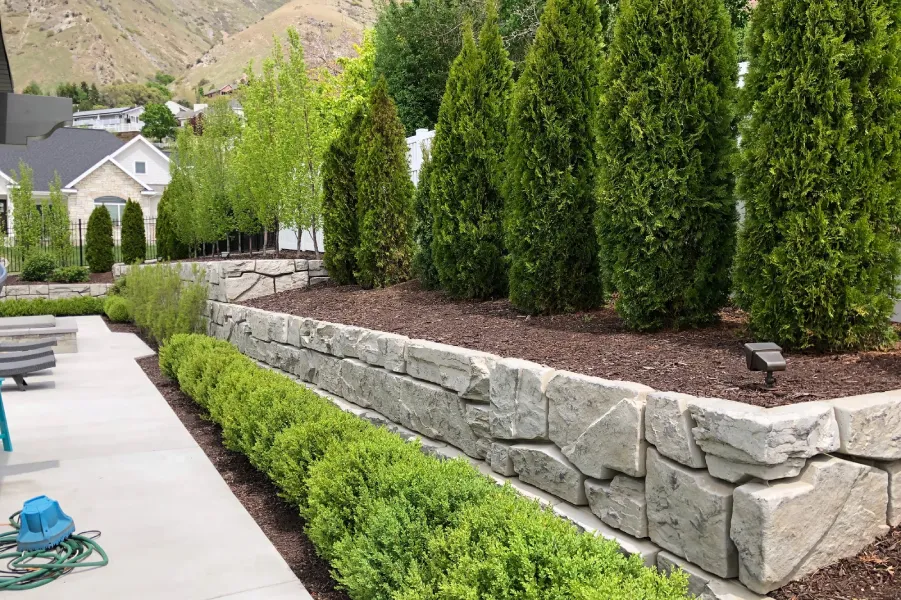 Photo 2023 07 21 17 24 52 Crop