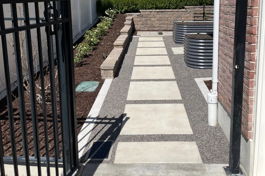 Photo 2023 07 21 17 24 52 Crop